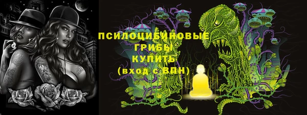 ГАЛЛЮЦИНОГЕННЫЕ ГРИБЫ Верхний Тагил